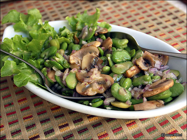 Ensalada de Habas y Championes - Casa Santa Brasa Vitacura