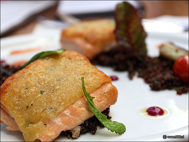 Salmn sellado con costra de queso parmesano y hierbas montado sobre qunoa negra - Quitral (Paseo Lastarria)