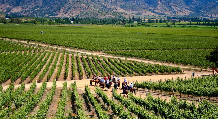 Vias cercanas  - Hotel Santa Cruz (Colchagua)