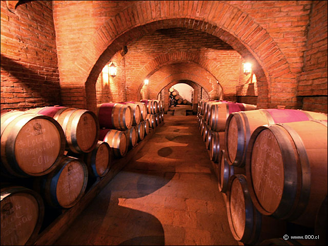 Bodegas y barricas en pasillos - Bodega Via Casa Silva (Valle de Colchagua)