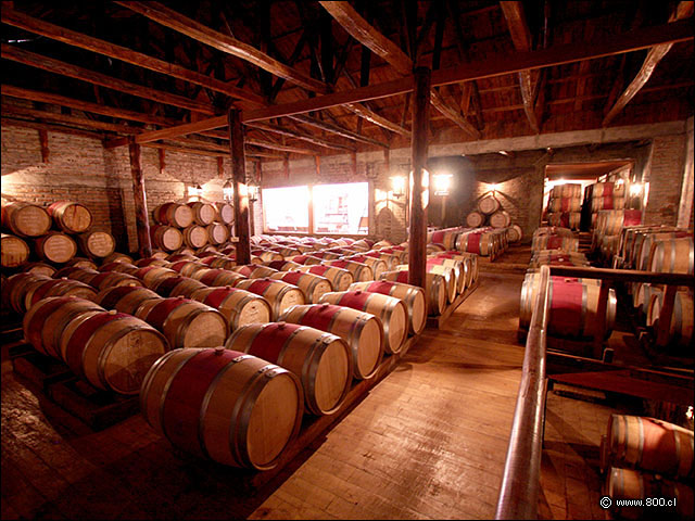 Bodega grande de barricas - Bodega Via Casa Silva (Valle de Colchagua)