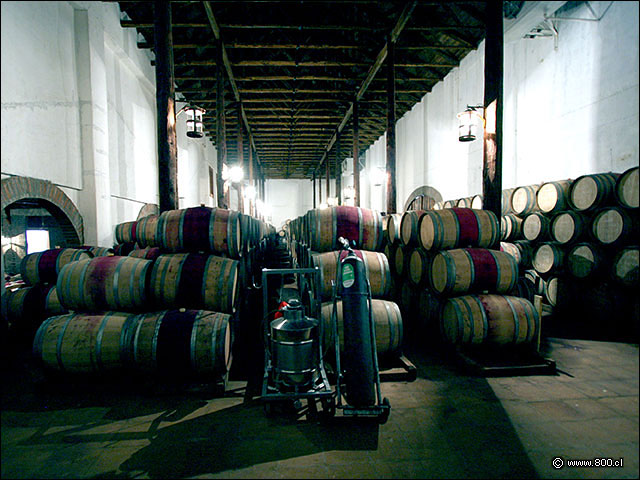 Otra gran bodega de barricas - Bodega Via Casa Silva (Valle de Colchagua)