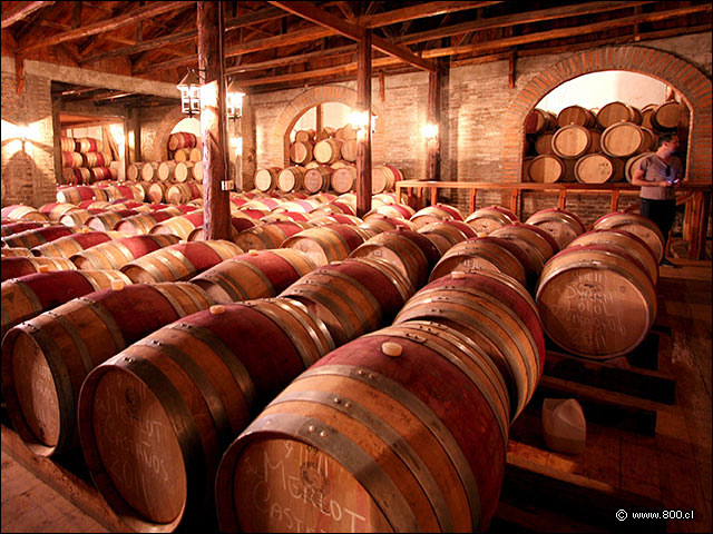 Bodega grande de barricas Via Casa Silva - Bodega Via Casa Silva (Valle de Colchagua)