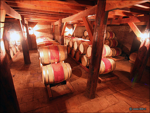 Bodega subterrnea de barricas - Bodega Via Casa Silva (Valle de Colchagua)