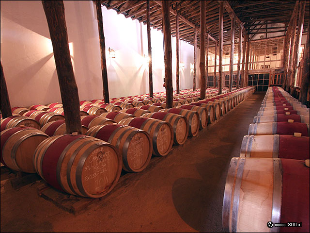 Otra de las bodegas de la via - Bodega Via Casa Silva (Valle de Colchagua)