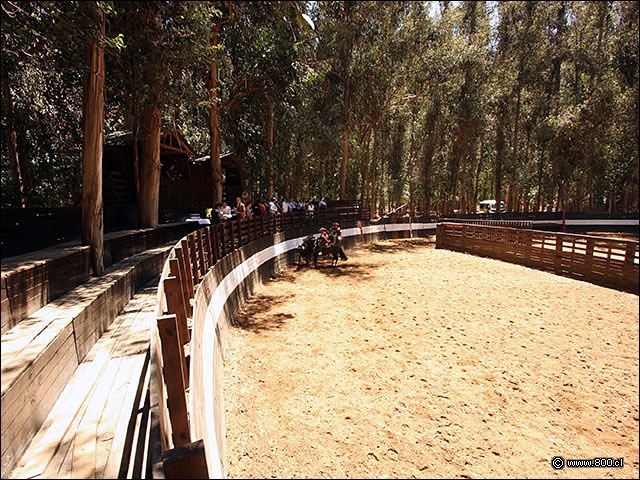 Media luna en terrenos de la Via Casa Silva - Bodega Via Casa Silva (Valle de Colchagua)