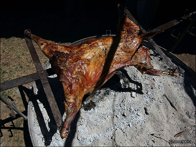 Lujos del quincho - Bodega Via Casa Silva (Valle de Colchagua)