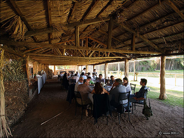 Gran quincho para eventos de la Via - Bodega Via Casa Silva (Valle de Colchagua)