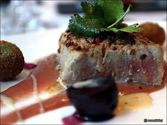 Atn encostrado en avellanas sobre compota de ruibarbo con vainilla, ptalos de rosa y croquetas de palta - Latin - Marriott (antes Latin Grill)