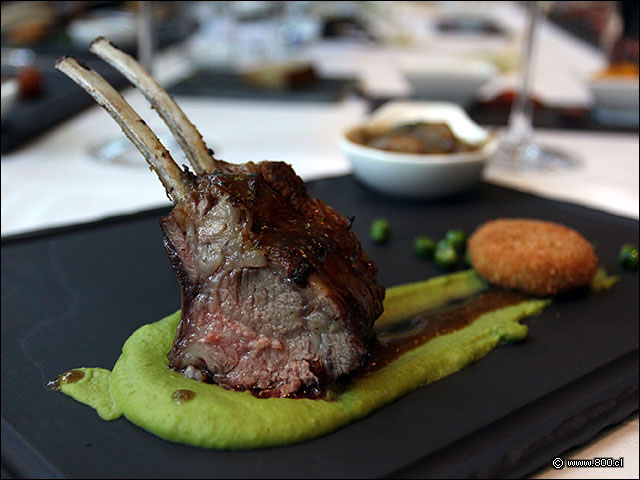 Chuletas de cordero sobre pur de arvejas acompaadas de Criadillas estofadas - Latin - Marriott (antes Latin Grill)