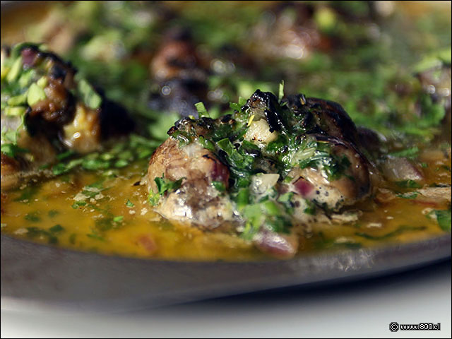 Caracoles de tierra con salsa de mantequilla y chalotes - Brasserie Petanque (Bellavista)