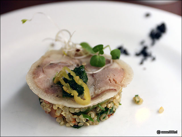 Appetizer de arrollado y quinoa - Casa Lastarria