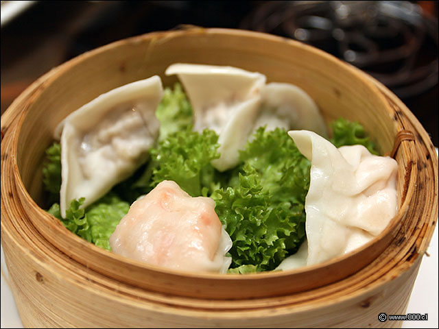 Mix de Dumplings - Palacio Danubio Azul (PDA)