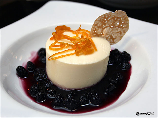 Panna Cota con salsa de berries - Palacio Danubio Azul (PDA)