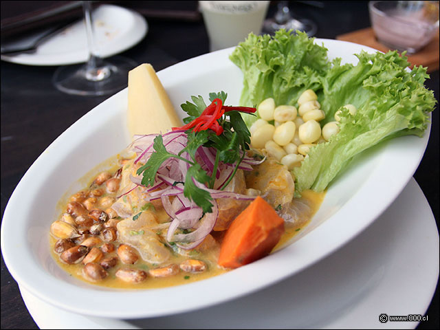 Cebiche de Corvina - Cocoa 2023 - La Dehesa