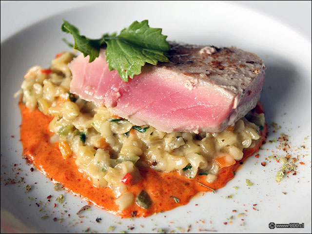 Atun sellado y mote cremoso con romesco