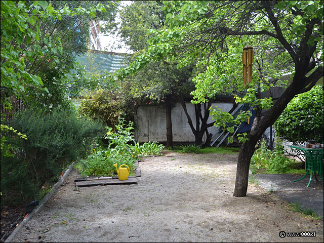 Patio Amanita - Amanita