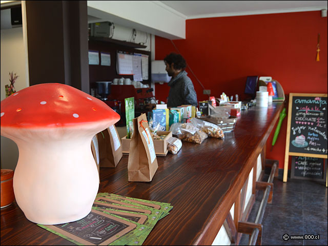 Barra Amanita - Amanita