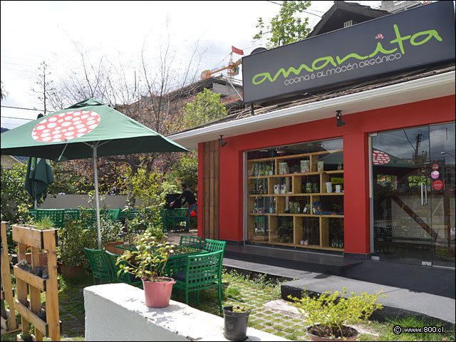 Fachada y parte de Terraza Amanita - Amanita