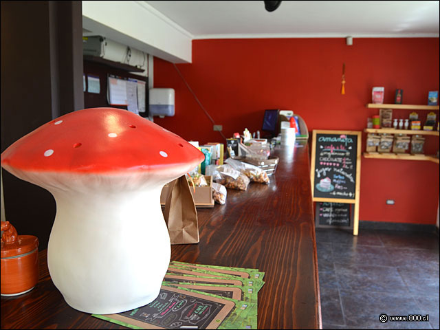 Interior Amanita - Amanita