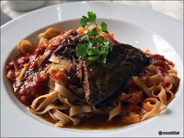 Fetuccini con salsa pomodoro y plateada - Divertimento Chileno