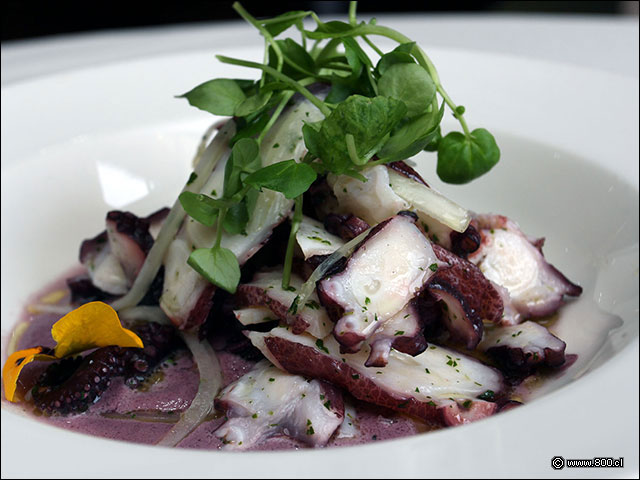 Pulpo al olivo - Entre Ros (Rengo)