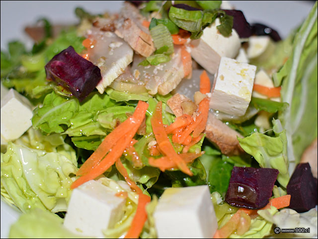 Ensalada Vegana Tofu - Hard Rock Caf Santiago (Mall Costanera Center)