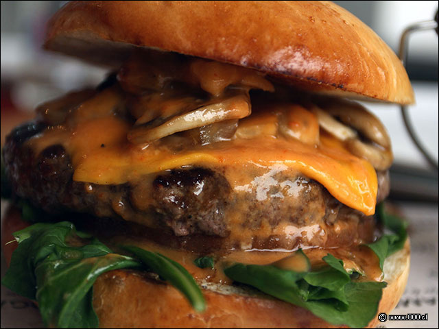 R�cula, salsa de champi�ones y queso cheddar para acompa�ar la hamburguesa de Angus de Mogambo - Mogambo