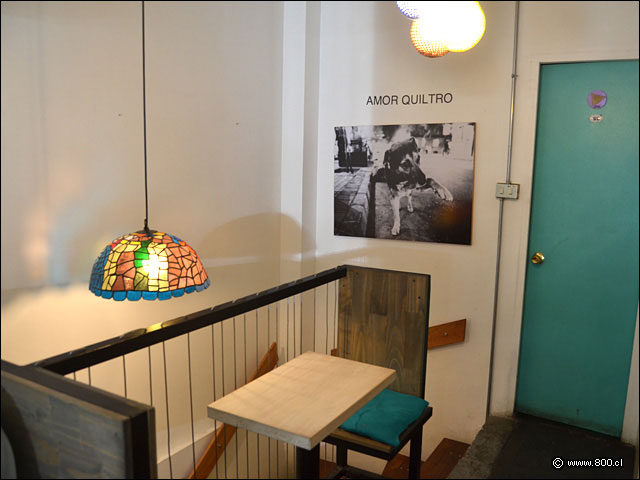 Amor Quiltro - Quiltro