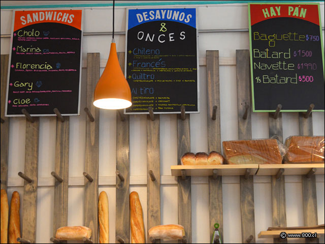 Detalles Interiores - Quiltro