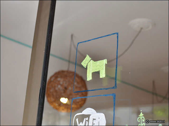 Zona Pet Friendly - Quiltro