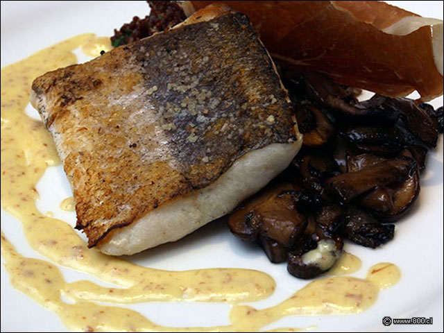 Filete de Merluza Austral con Champi�ones grillados y Qu�noa - Terran�e (Hotel Intercontinental)
