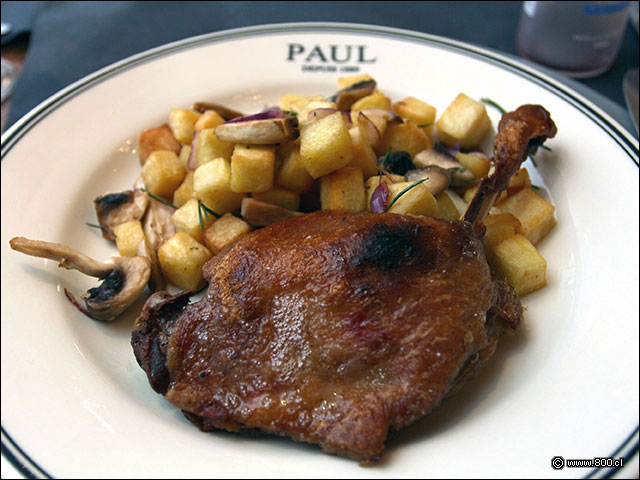 Confit Canard con papas salteadas - Paul Restaurante (Parque Arauco)