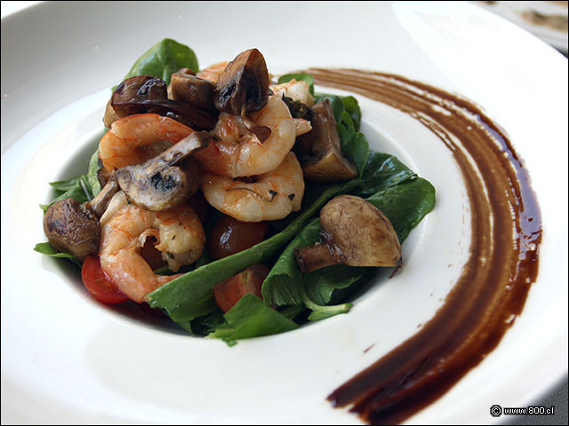  Insalata di Gamberi, rcula con championes y camarones salteados