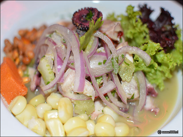 Ceviche - Chipe Libre