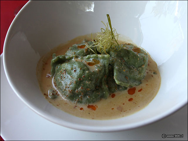 Sorrentinos de espinacas rellenos de zapallo con salsa de avellanas chilenas  - Bautista Gourmet