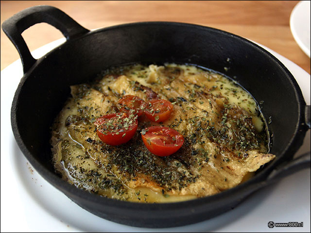 Provoleta a la parrilla con organo y tomates cherry - Cvico (Las Condes)