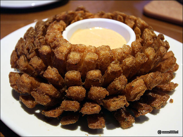 Onion Blossom - Outback (Mall Vivo Los Trapenses)