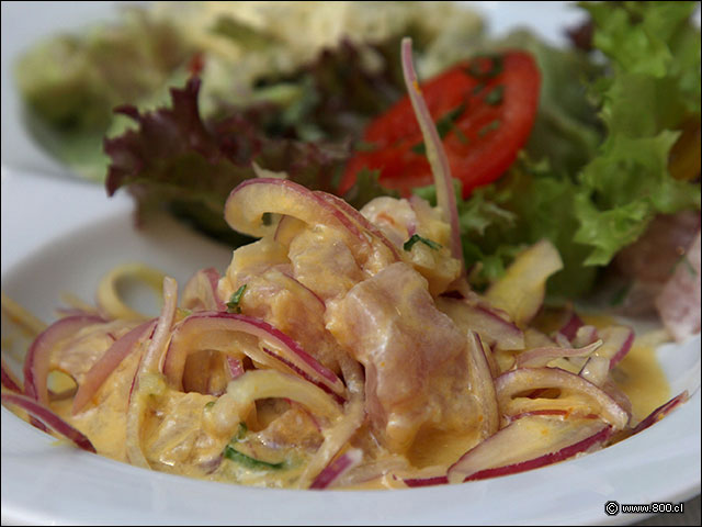 cebiche de reineta al aj� amarillo - Mama Kuna