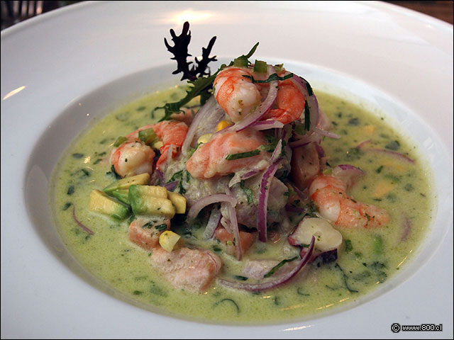 Ceviche de pescado y mariscos - Mulato Restaurant