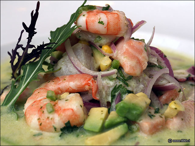 Ceviche de pescado y mariscos - Mulato Restaurant