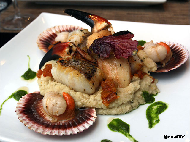 Merluza austral con pinzas de jaiba y pur de garbanzos - Mulato Restaurant