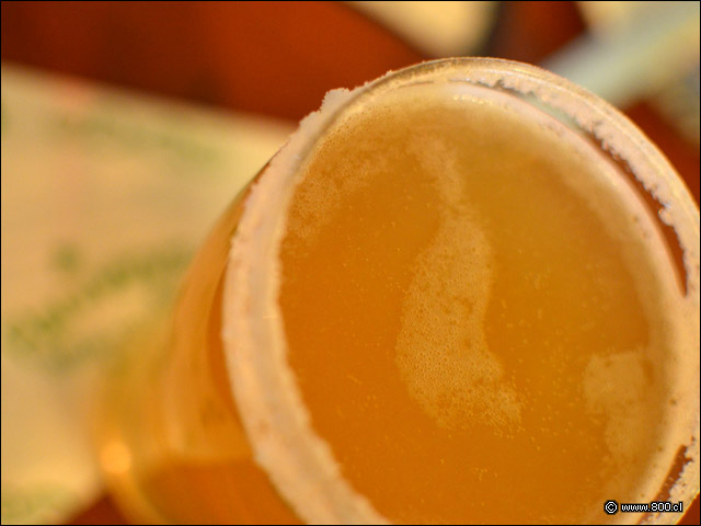 Michelada con cerveza de producción propia en Flannerys Beer House Tobalaba - Flannerys Beer House - Tobalaba