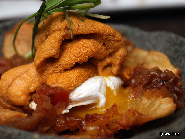 Erizos con huevo pochado y yuca frita - Mulato Restaurant