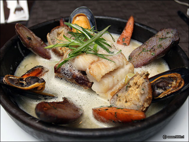 Pulmay al estilo Mulato con chapalele - Mulato Restaurant