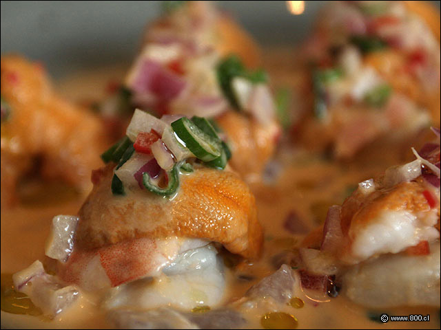 El elegante Tiradito Galctico de LaMar  - La Mar Cebichera