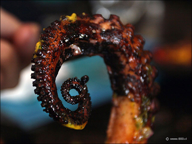 El sabroso cenculo del Pulpo Grillado - La Mar Cebichera