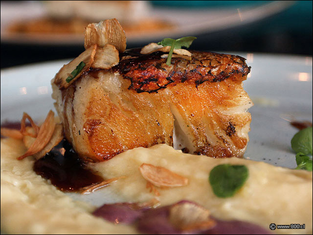 Elegante y perfecto grillado de Mero de Profundidad - La Mar Cebichera
