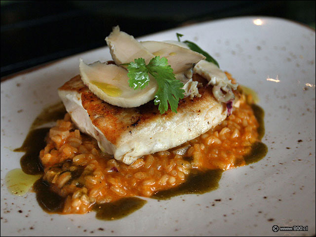 Corvina Grillada con Risotto de Locos en La Mar  - La Mar Cebichera