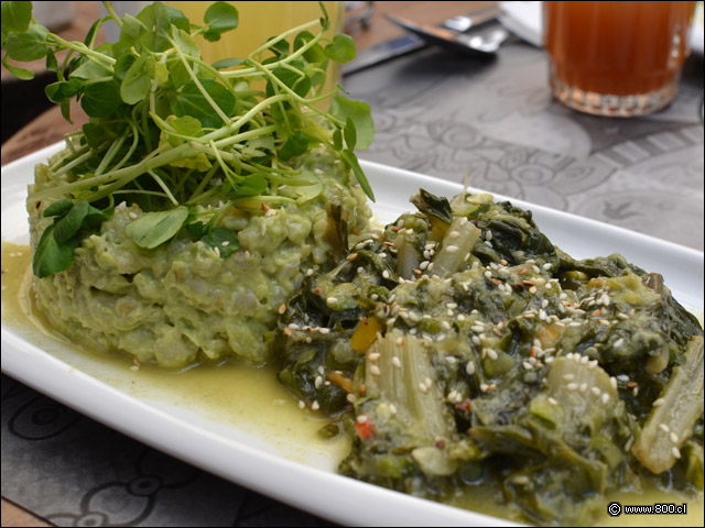 Mote Palta y Guiso de Acelgas en Hookah Troopa Lunch - Hookah Troopa - Barrio Lastarria